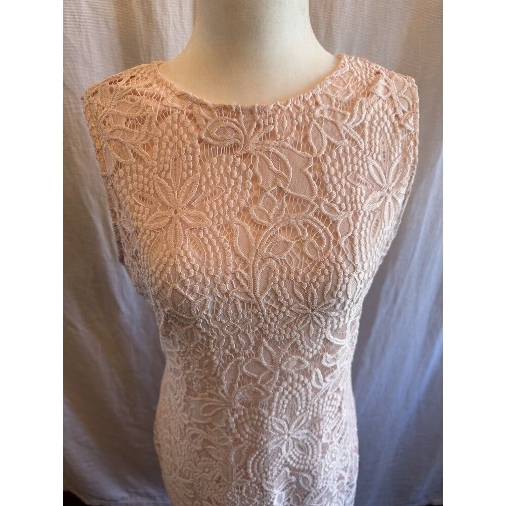 Sharagano Lace Sheath Dress Women 8 Pink Sleeveless Modest Lined Scalloped Hem - Picture 4 of 12